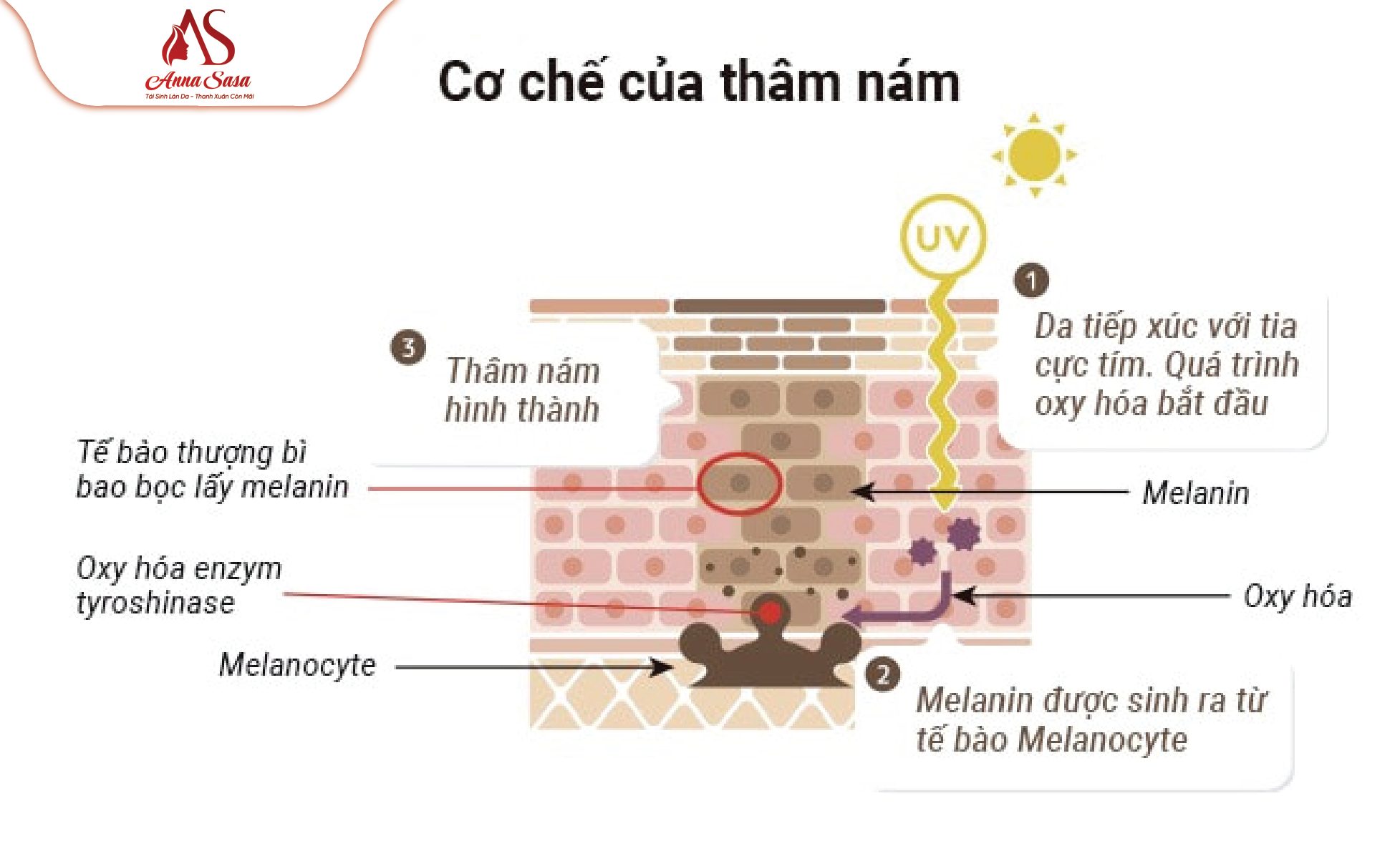 nám da