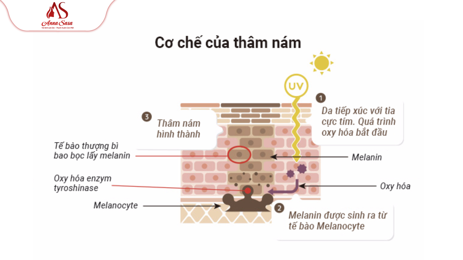 trị nám